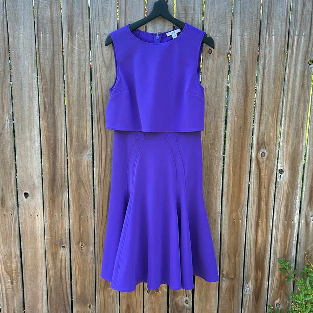 ZAC Zac Posen fit and flare sleeveless dress with layered top